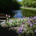 Ann Janauer - Facebook