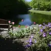 annjanauer - @annjanauer - TikTok