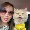 Ann Jang - @a1633a - TikTok