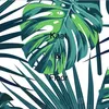 Ann Janssens - @ann.janssens - TikTok
