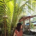 Ann Alvarez Jara - Facebook