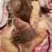 Ann Jarrell - Facebook