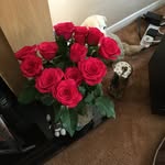 Ann Jelley - @annjelley - Instagram