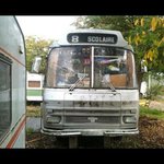 Ann Jemison - @annjemison - Instagram