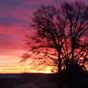 annjennings261 - @annjennings261 - TikTok