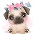 Ann Jess - Facebook