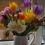 Ann Jessop - @jessop_ann_ - Instagram