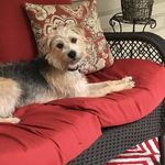Ann Jeter - @ann_jeter - Instagram
