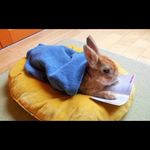 Jeter - @jeter.ann - Instagram