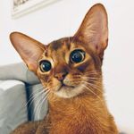 Ann Jiang - @annjiang0701 - Instagram