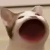 ann.jihsa0 - @ann.jihsa0 - TikTok