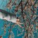 Jih An - Facebook