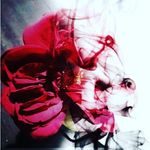 Annjo - @annjobinsha19 - Instagram
