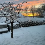 Ann-Karina Johansen - @annjohansen1972 - Instagram