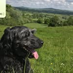 Ann Johns - @annej20032003 - Instagram