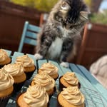 Ann Johnstone - @annj66 - Instagram