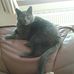Ann Johnstone - Facebook