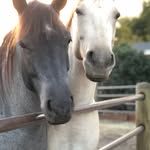 Mary Ann Johnstone - @maryannjohnstone - Instagram