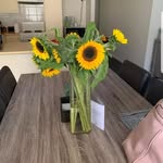 Ann Jolly - @graceann6329 - Instagram