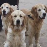 Ann Jolly - @jolly2428 - Instagram