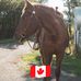 Ann Jonker - Facebook