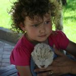 anne jonker - @jonker_anne - Instagram