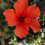 Ann Jonsson - Facebook
