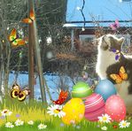 Ann Jonsson - Facebook