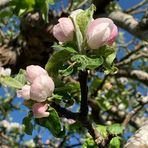 Ann Jonsson - Facebook