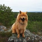 Ann Jonsson - @annjo_55 - Instagram