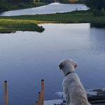 Ann Jönsson - @jnna61 - Instagram