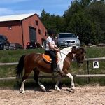 Ann Jönsson - @skatann13 - Instagram