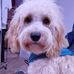 Ann Joslin - Facebook