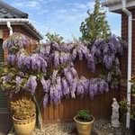 ann joslin - @joslin4244 - Instagram