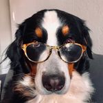 Ann-June-NUH - @anjuna.the.berner - Instagram