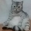annjunk - @annjunk28 - TikTok