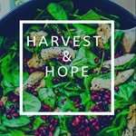 Ann Justus - @harvestandhope - Instagram