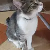 Anna Kabelik - @annakabelik - TikTok