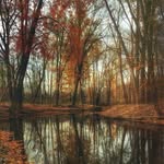 Ann Kahn - @annkahn - Instagram
