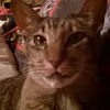 JoJoann Kahn - @jojoann.kahn - TikTok