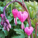 Ann Kammerer - @kammererann - Instagram