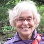 Ann Kanter - @roundmidtownsac - Instagram