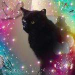 Jo Ann Kappel - @joannkappel - Instagram