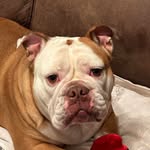 Mary Ann Stabeno Karcher - @maryann.karcher - Instagram