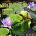 Ann Karn - Facebook