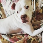 Samantha Ann Karns - @saaaaaaaammk - Instagram