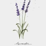 Ann Karr - @annkarr2022 - Instagram