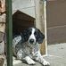 Ann Keegan - Facebook