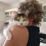 Ann Keegan Brogan - @nanzibar5152 - Instagram