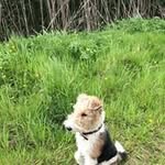 Ann Marie Keeling - @annmariekeeling - Instagram